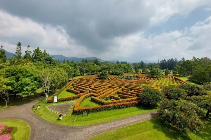 Breathtaking Natural Attractions in Bogor for Stunning Views & Exciting Activities