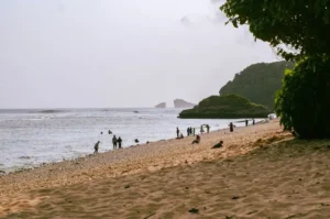 Stunning Beach Destinations in Malang You Must Visit